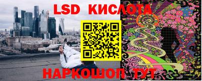 прущие грибы Анапа