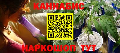 прущие грибы Анапа