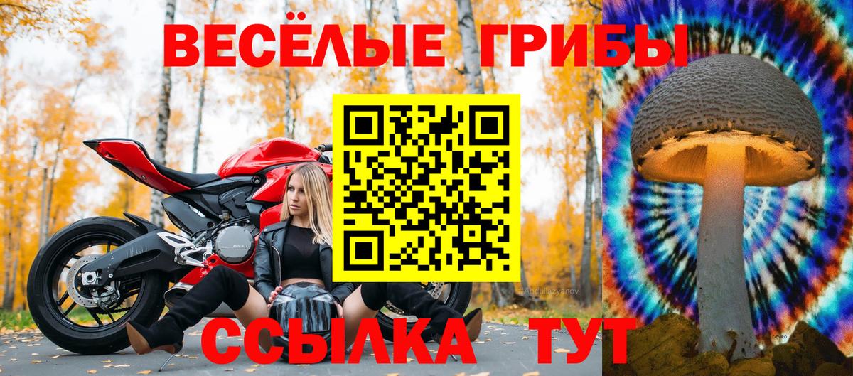 Псилоцибиновые грибы Magic Shrooms  Вход с VPN  наркотики  Галлюциногенные грибы ЛСД  Выборг 