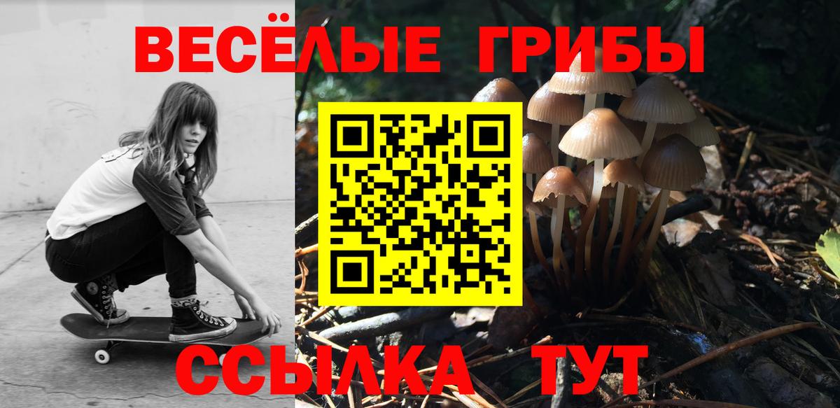 Галлюциногенные грибы мицелий Выборг