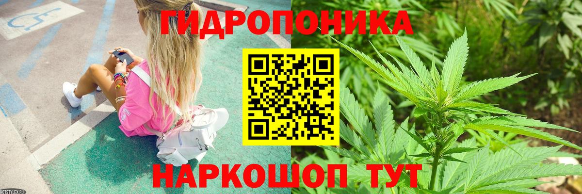 Марихуана сатива  Конопля VHQ  Выборг  Вход с VPN 